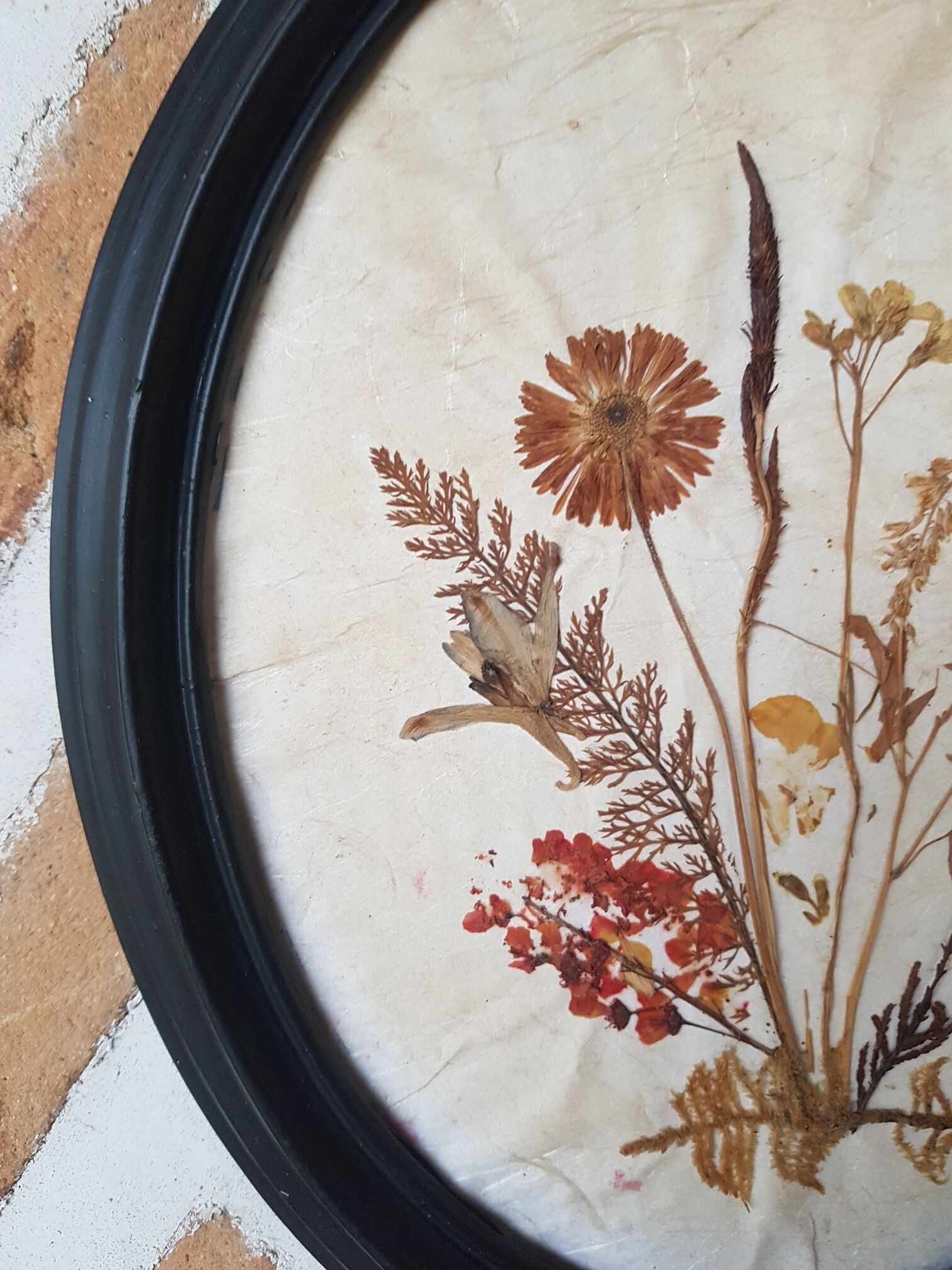 Pair of dried flower frames