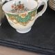 6 cups and 6 saucers w. h. grindley & co.