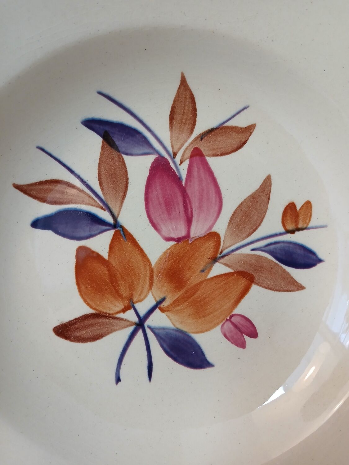 Lot de 12 assiettes creuses vintage motif bordeaux caramel