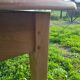 Table de ferme en merisier vers 1930