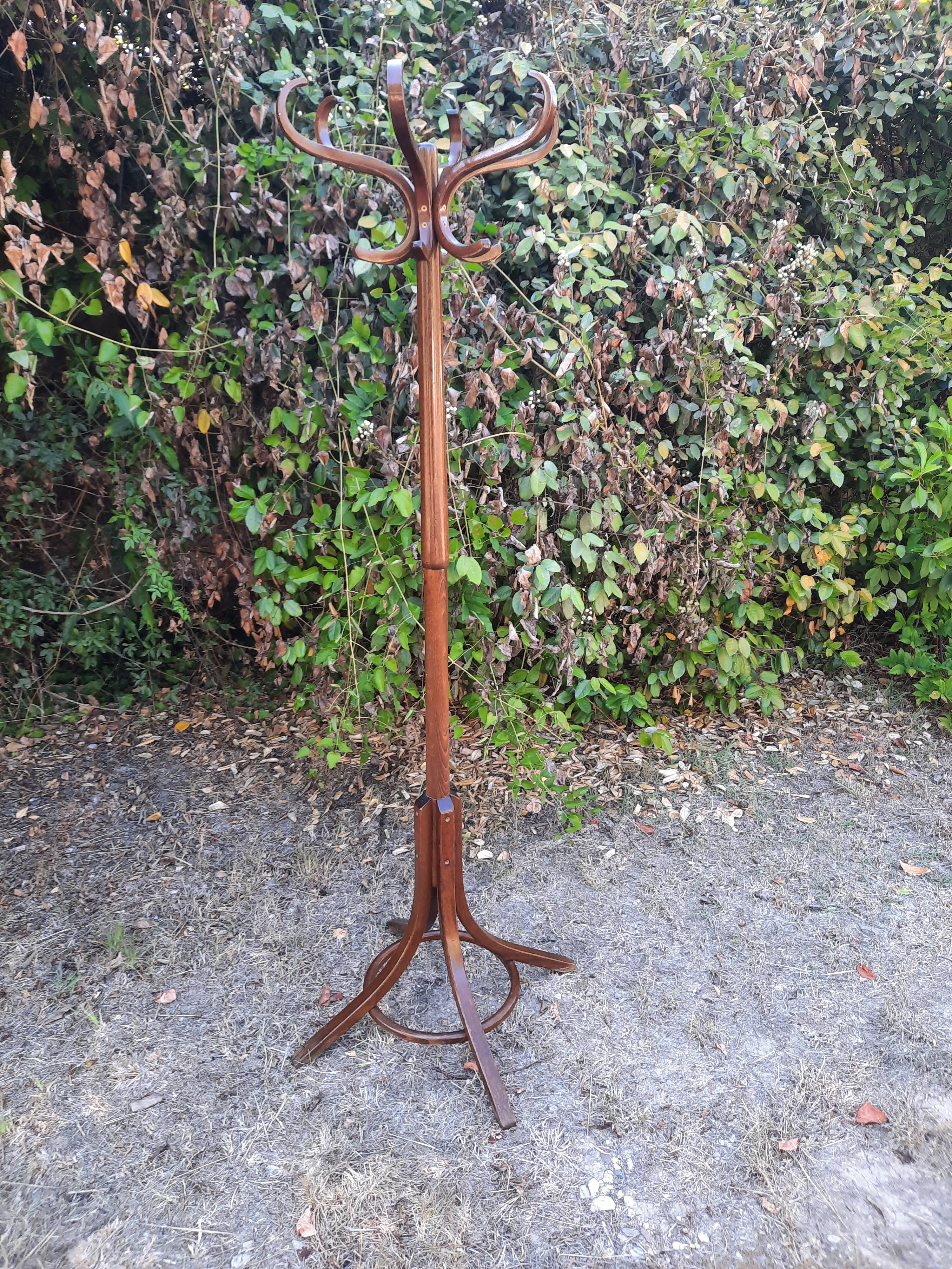 Porte-manteau Baumann "perroquet"