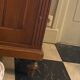 Low furniture sideboard