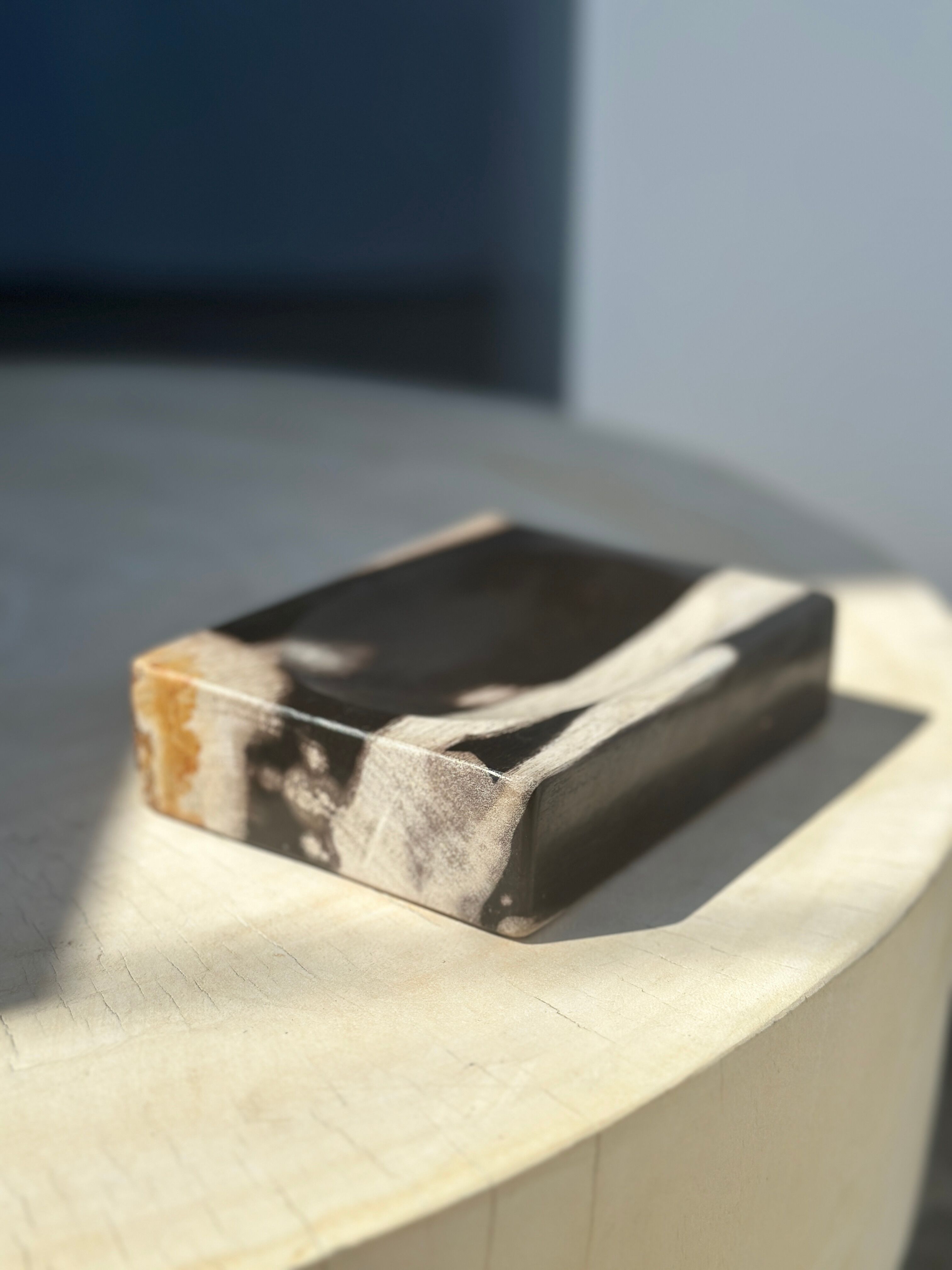 Symmetrical multicolored petrified wood soap dish
