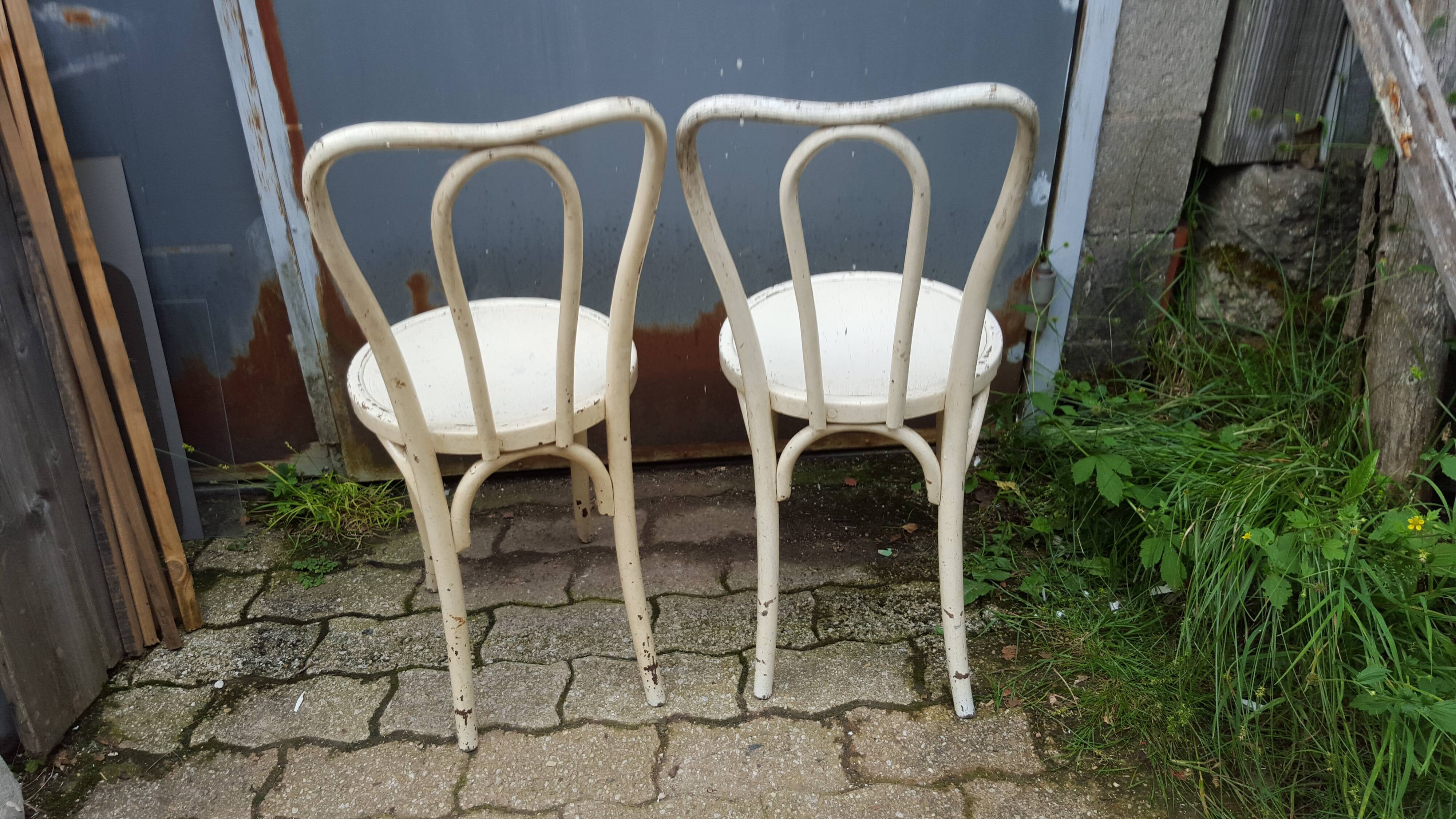 Pair of Baumann chairs made of curved wood