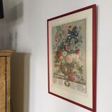 Old English botanical plate for the month of June