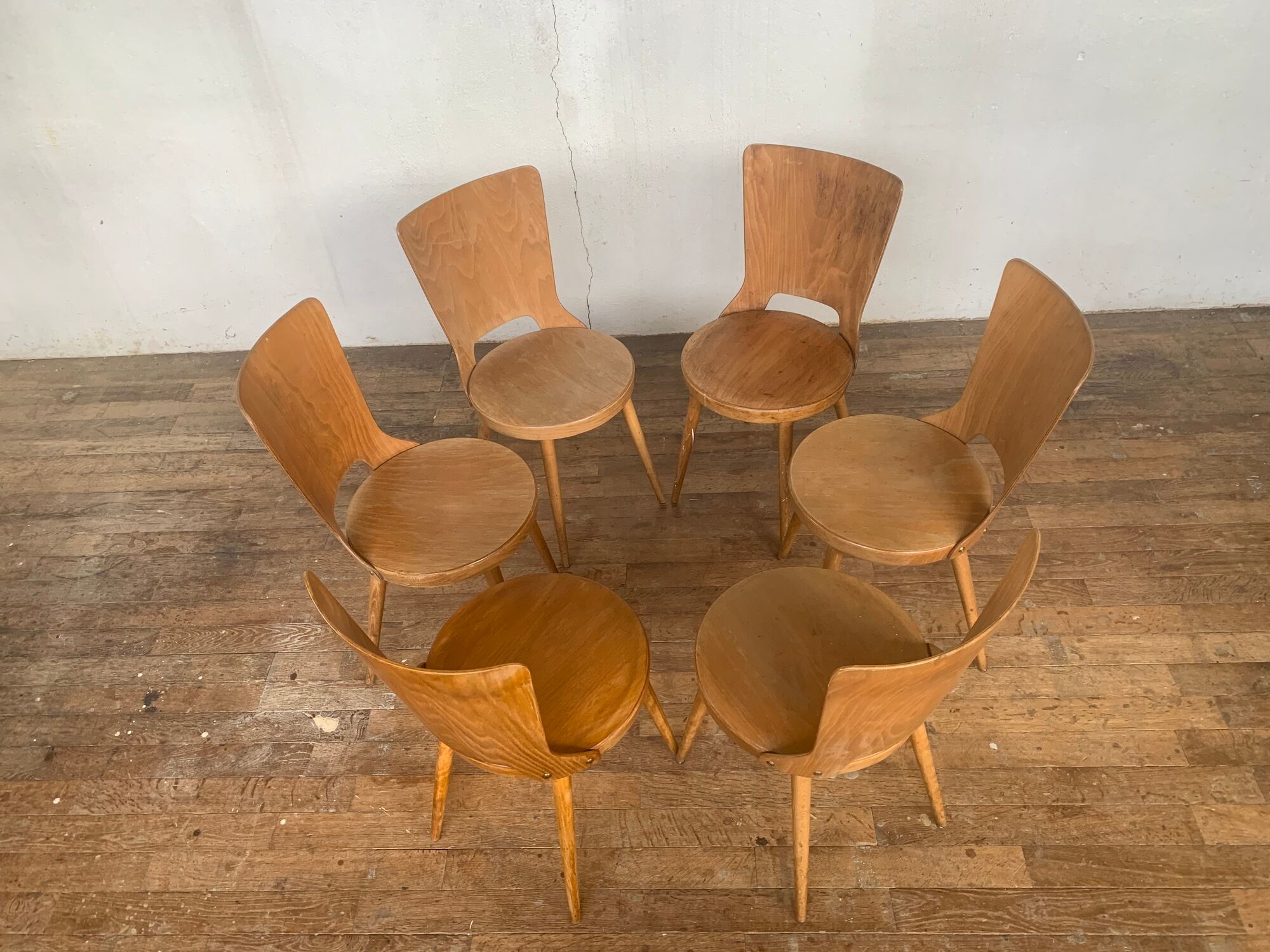 Series of 6 chairs bistro Baumann model Dove year 1950/1960