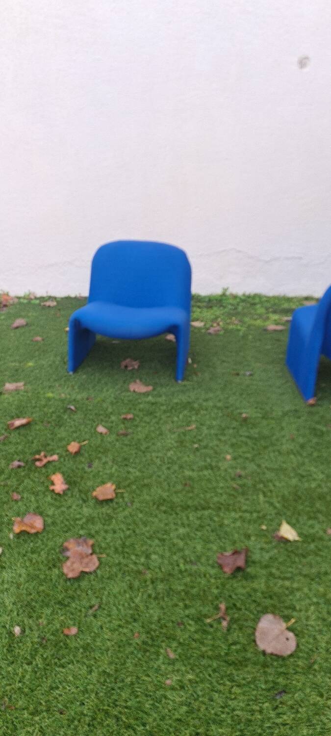 Pair of "Alky" armchairs by Giancarlo Piretti for artifort
