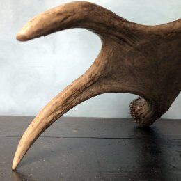 Elk horn foot lamp and silk day offal