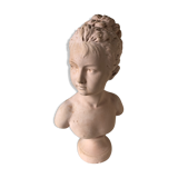 Plaster bust