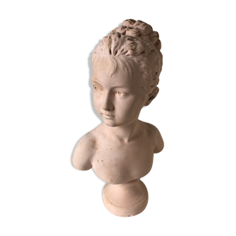 Plaster bust