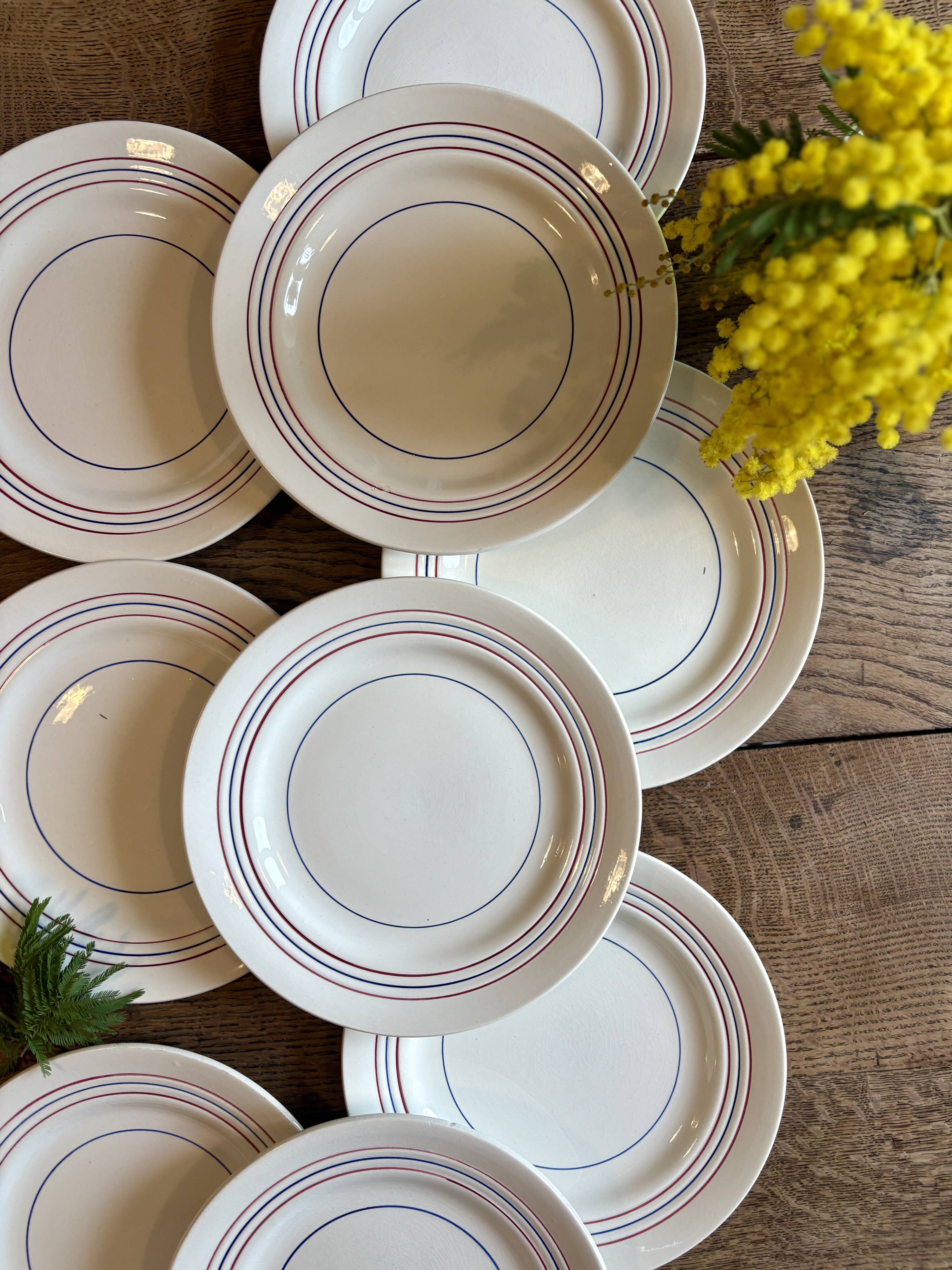 Set of 10 vintage flat plates in semi-porcelain Céranord.
