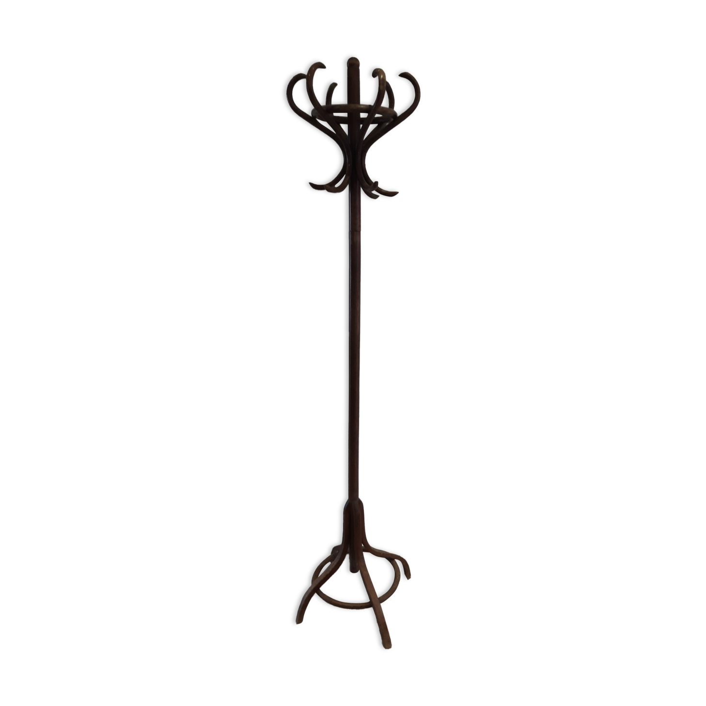 Old parrot coat rack