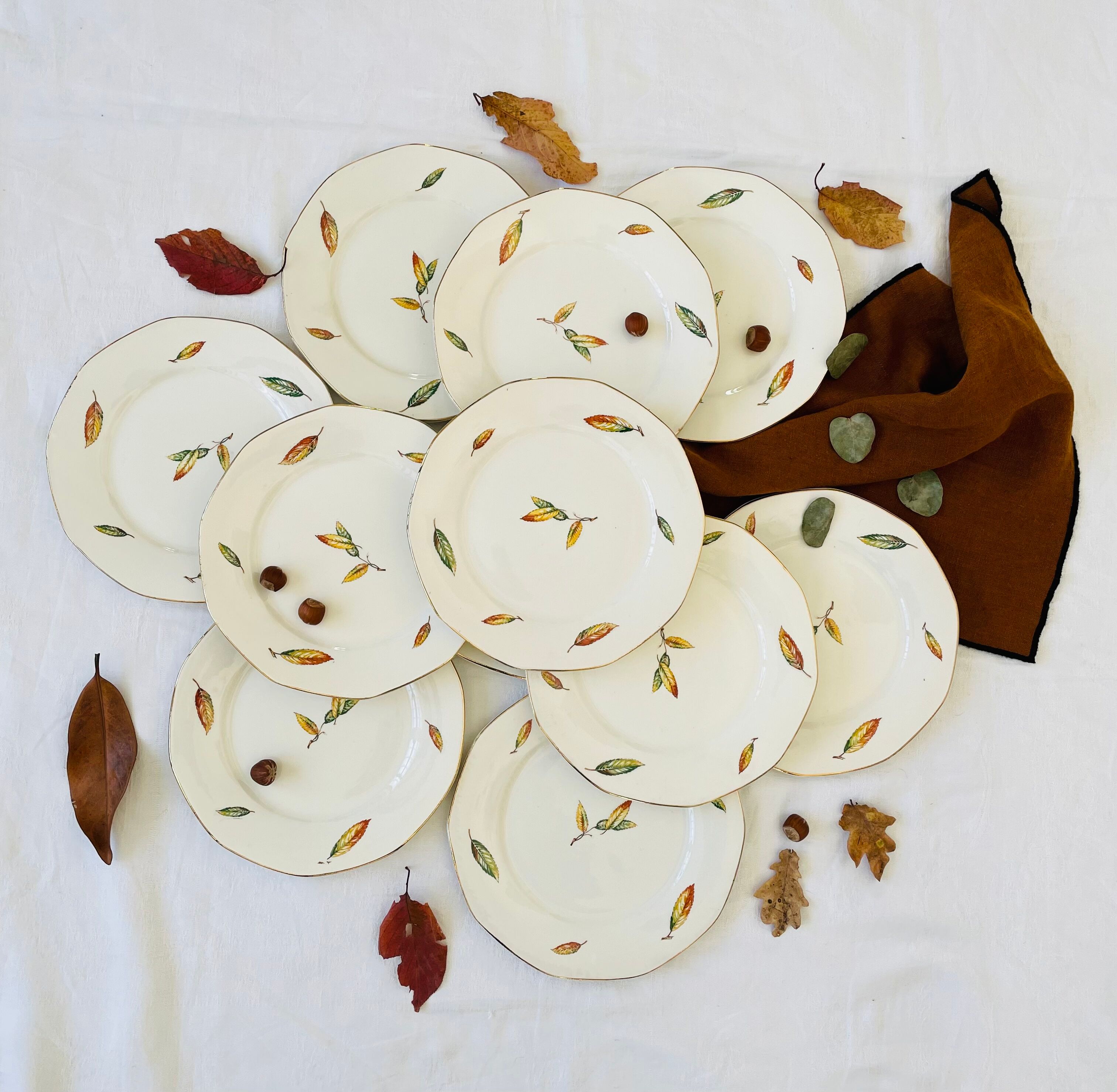 Set of 11 vintage flat plates Digoin Sarreguemines model Nemours