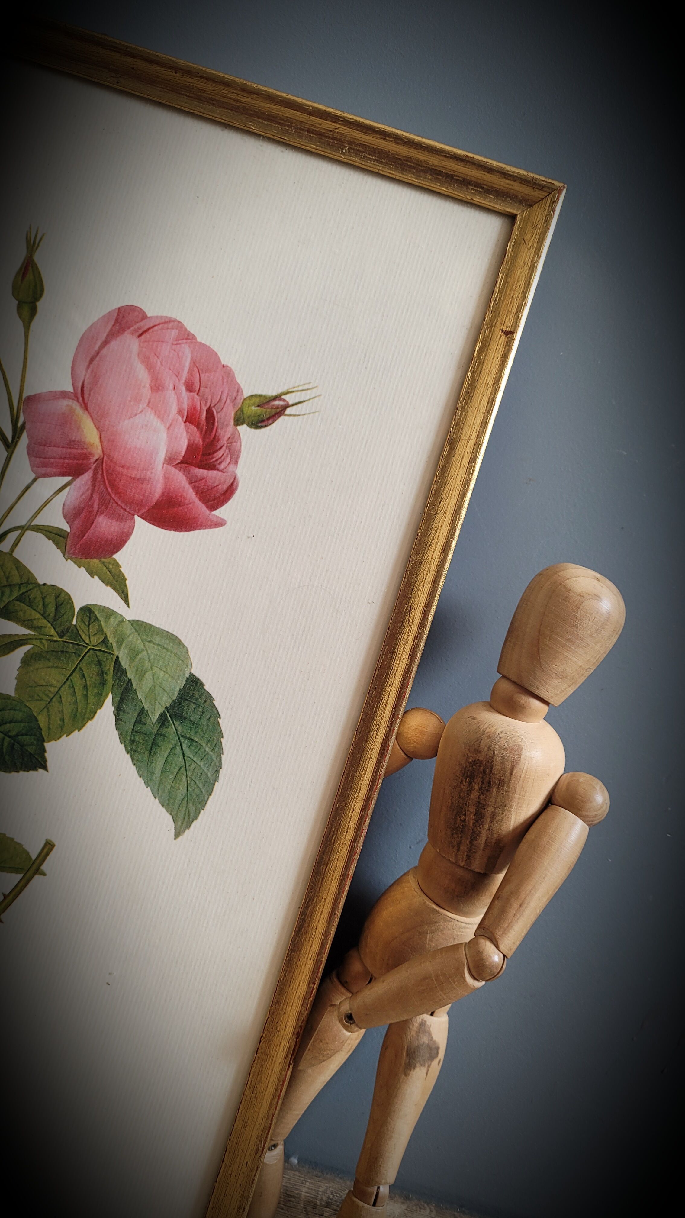 Litho rose leaning buds 30