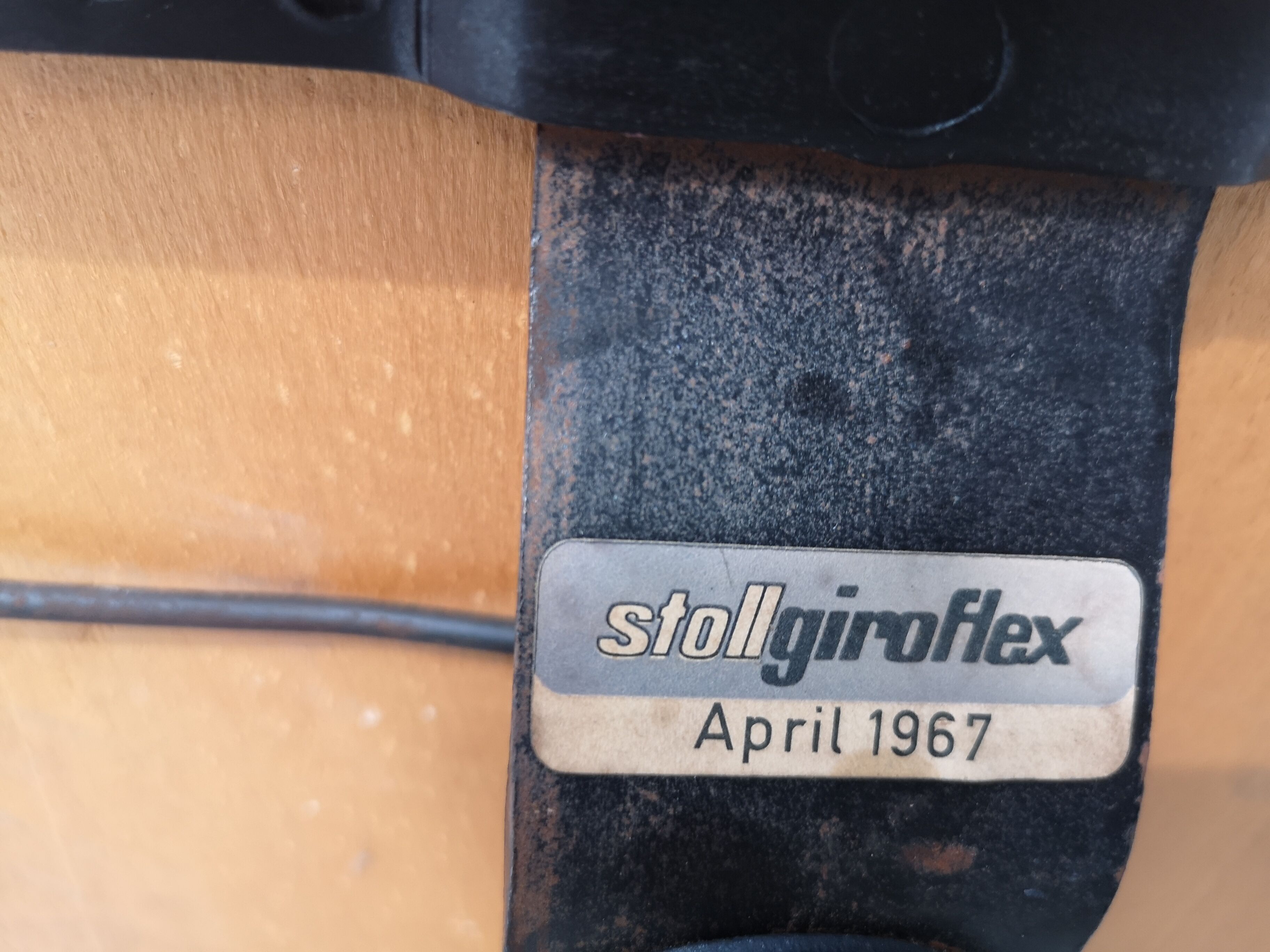 Desk Chair by Albert Stoll for Stoll Giroflex, 1950s