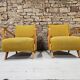 Pair of vintage armchairs 1960