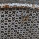 Mategot Mathieu garden table