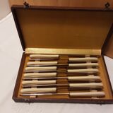 Ensemble de 12 couteaux en bakélite et lame inox