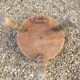 Vintage French Handcrafted Wooden Child's Stool with Added Back