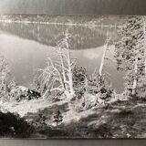 Photo silver dead tree in front of lake n°4 bernard darot xxth