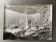 Photo silver dead tree in front of lake n°4 bernard darot xxth