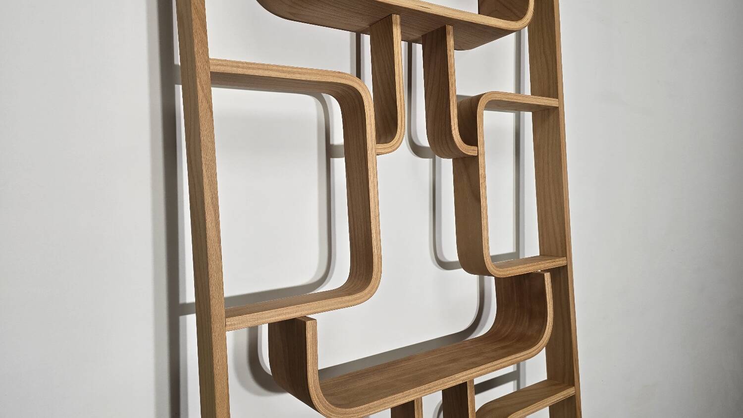 Room Divider by Ludvik Volak for Drevopodnik Holesov, 1950s