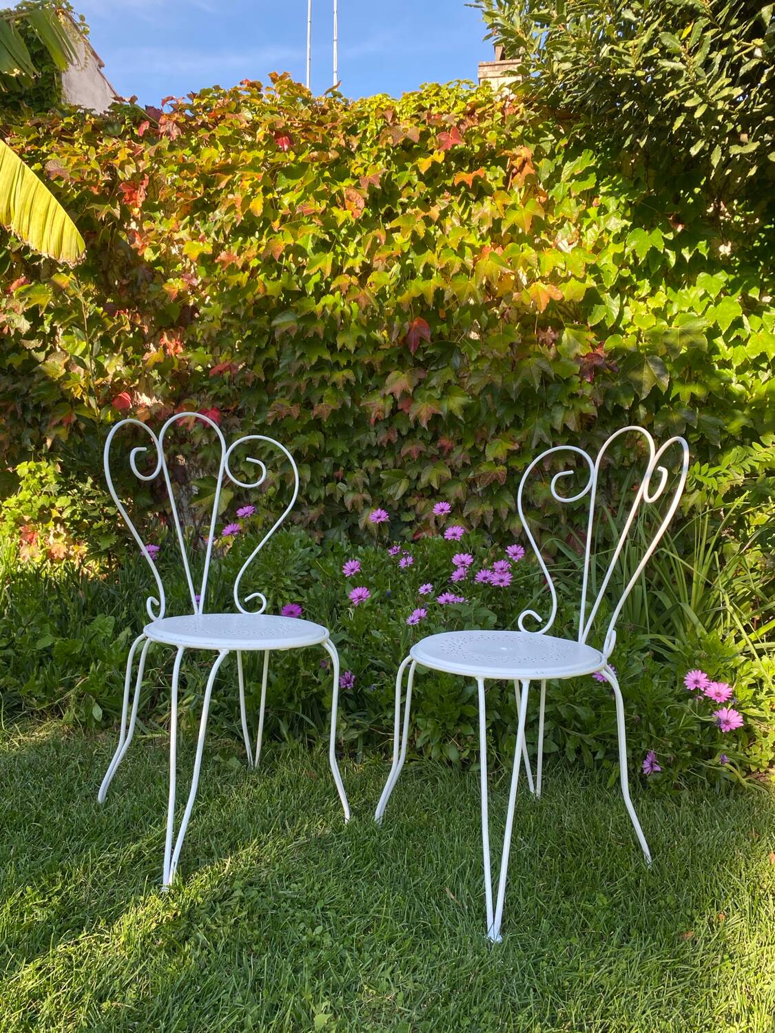 Paire de chaises de jardin anciennes en fer forgé ouvragé