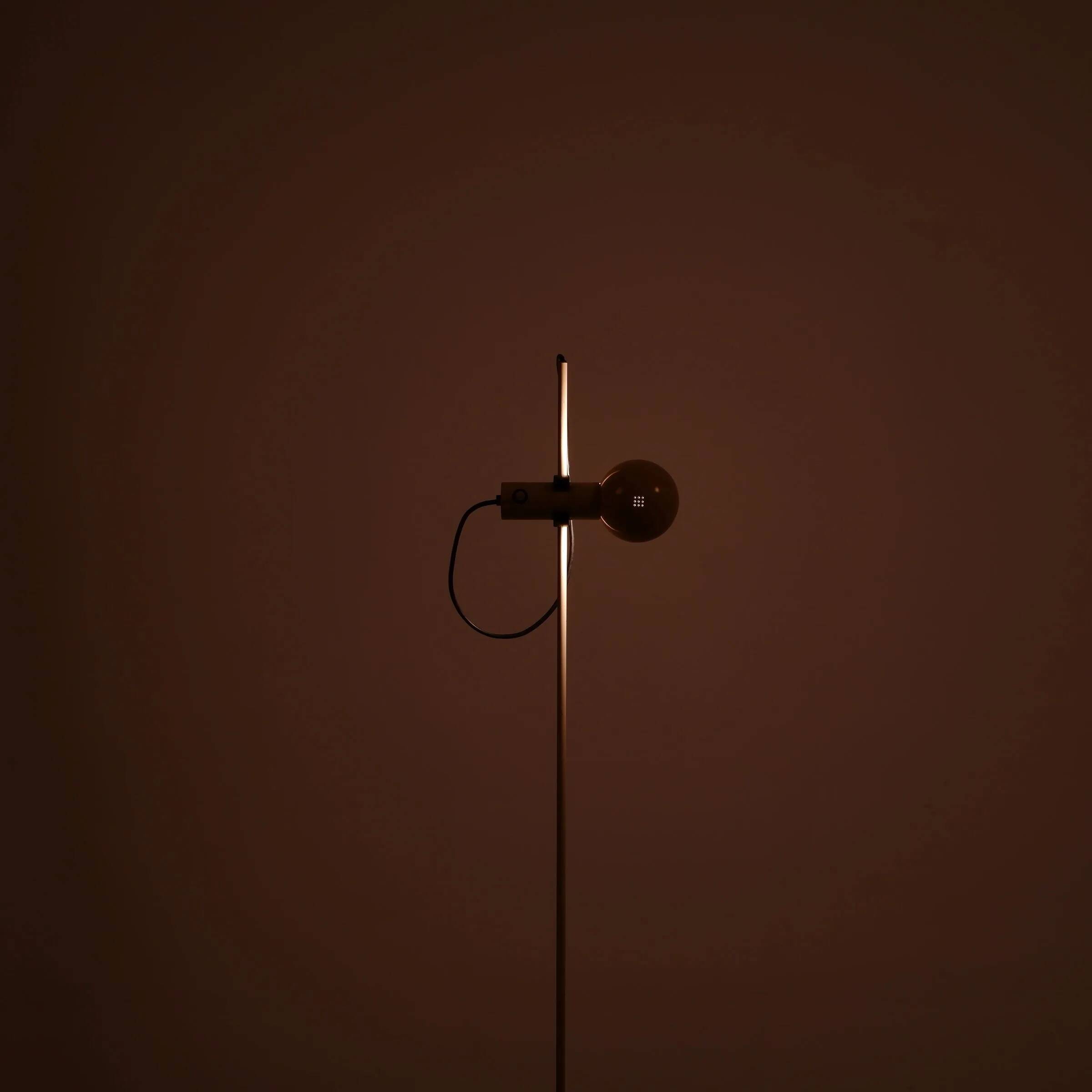 Adjustable floor lamp by Barbieri & Marianelli for Tronconi