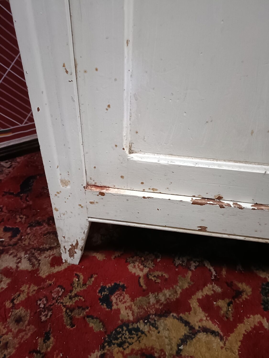 Parisian wardrobe 50