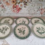 Set of 6 dessert plates in old green earthenware late 18th century frugal décor