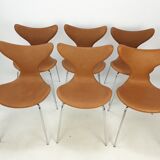 Set of 6 Lily chairs by Arne Jacobsen for Fritz Hansen, 1960s