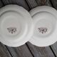 Pair of salins plates