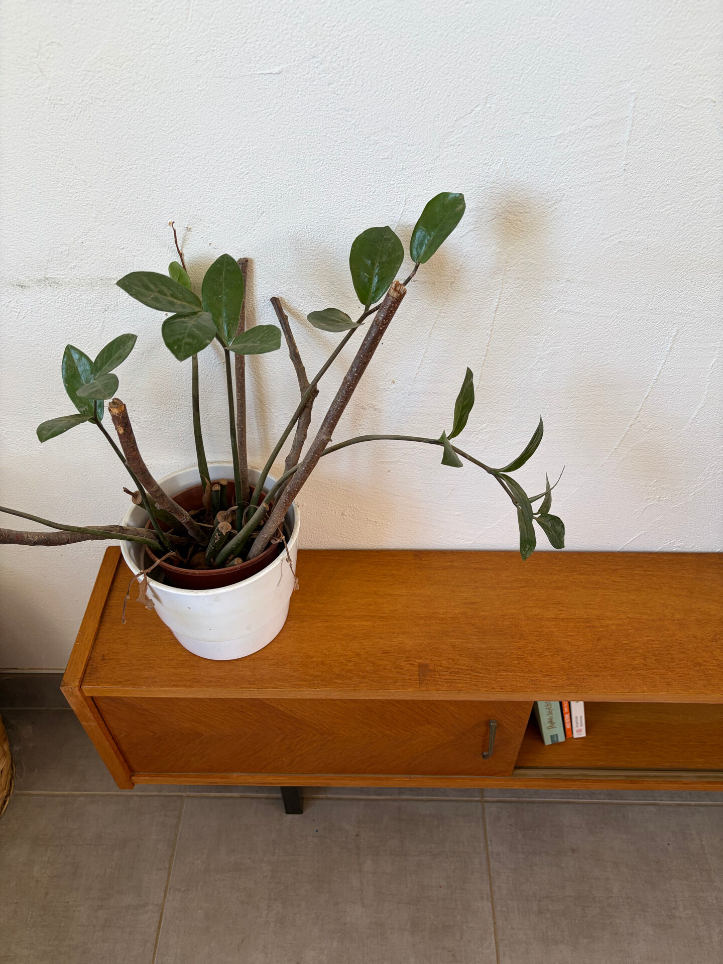 Enfilade basse vintage ( peu profonde )