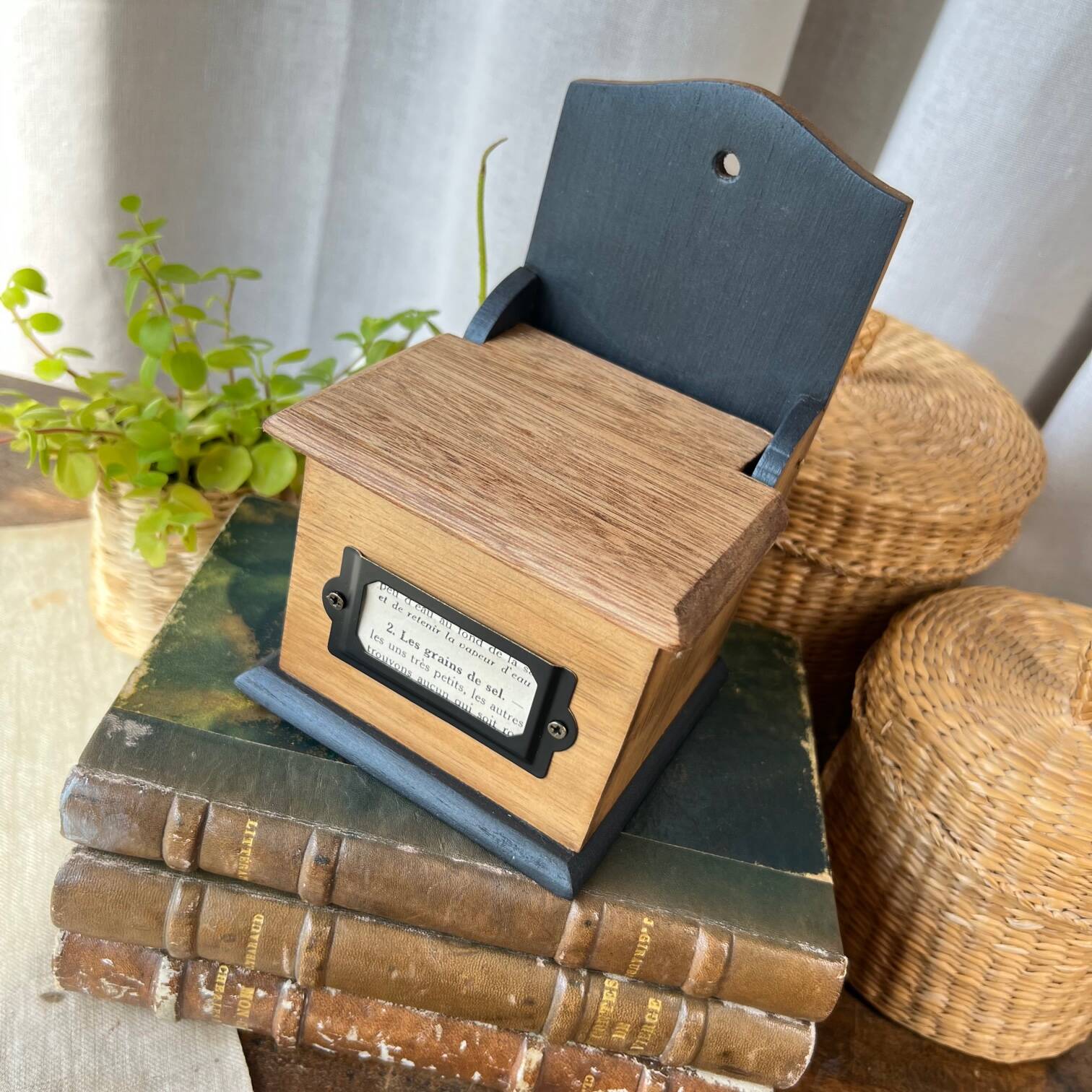 Small “grains of salt” salt box