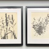 Framed lithograph - extract from the notebook "Les Natugraphies" - Albert de Visscher