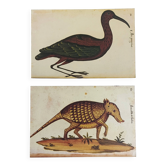 Paire de reproductions du Codex Pomar d'Histoire Naturelle, Valence, 1990