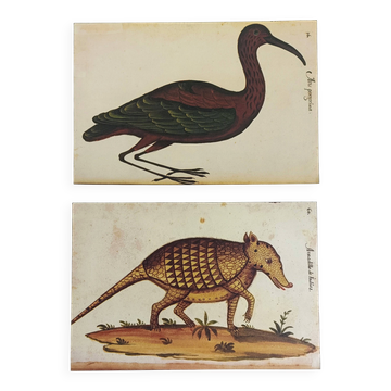 Pair of reproductions of the Codex Pomar of Natural History, Valencia, 1990