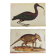 Pair of reproductions of the Codex Pomar of Natural History, Valencia, 1990