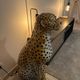 Large glazed ceramic cheetah statue - Vintage decoration
