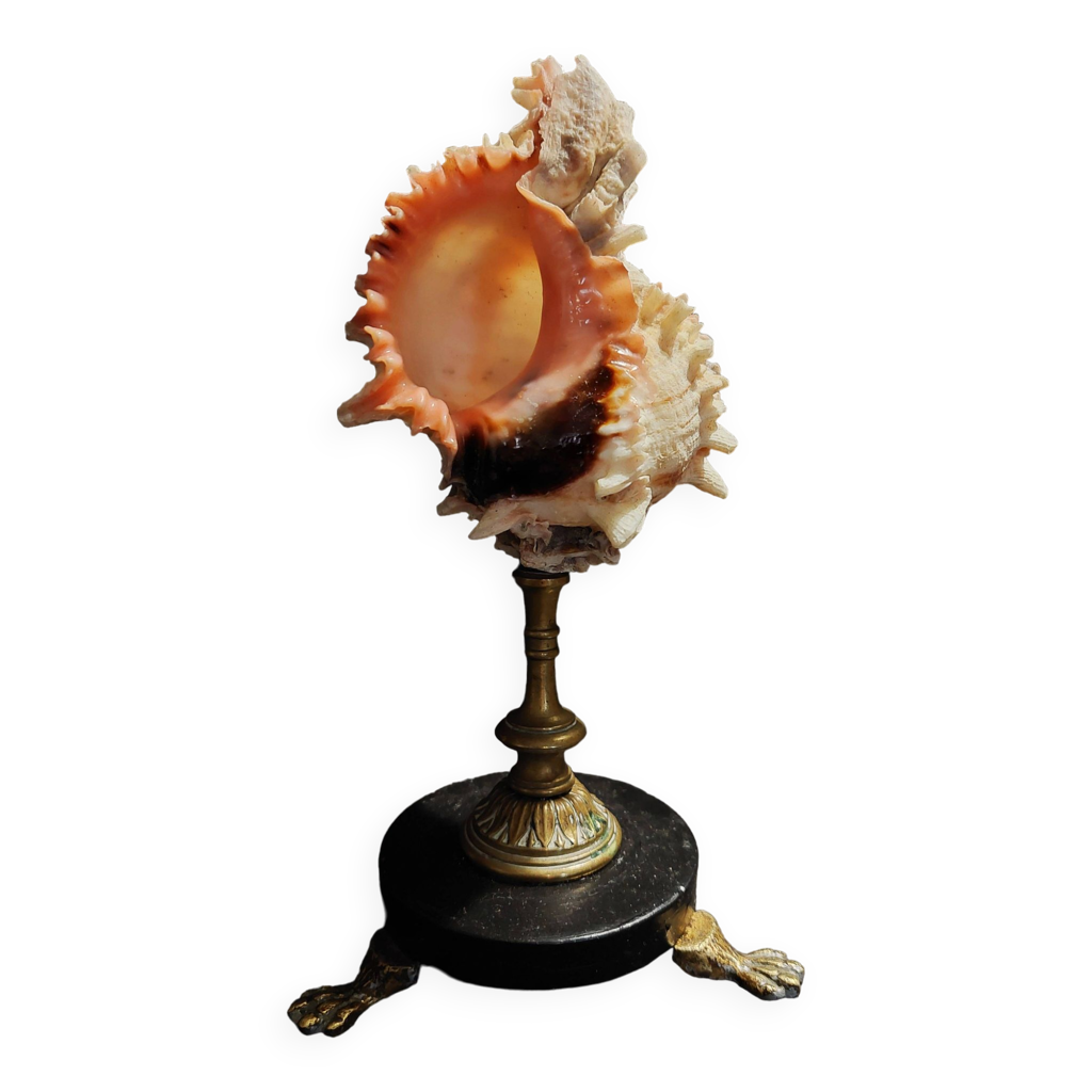 Figurine dé coquillage - France