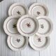 7 earthenware plates, hand-painted floral decoration, Sarreguemines, Armelle model