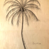 Dessin Cocotier