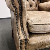 Xixth century  english georgian cigar leather wingback library chairs