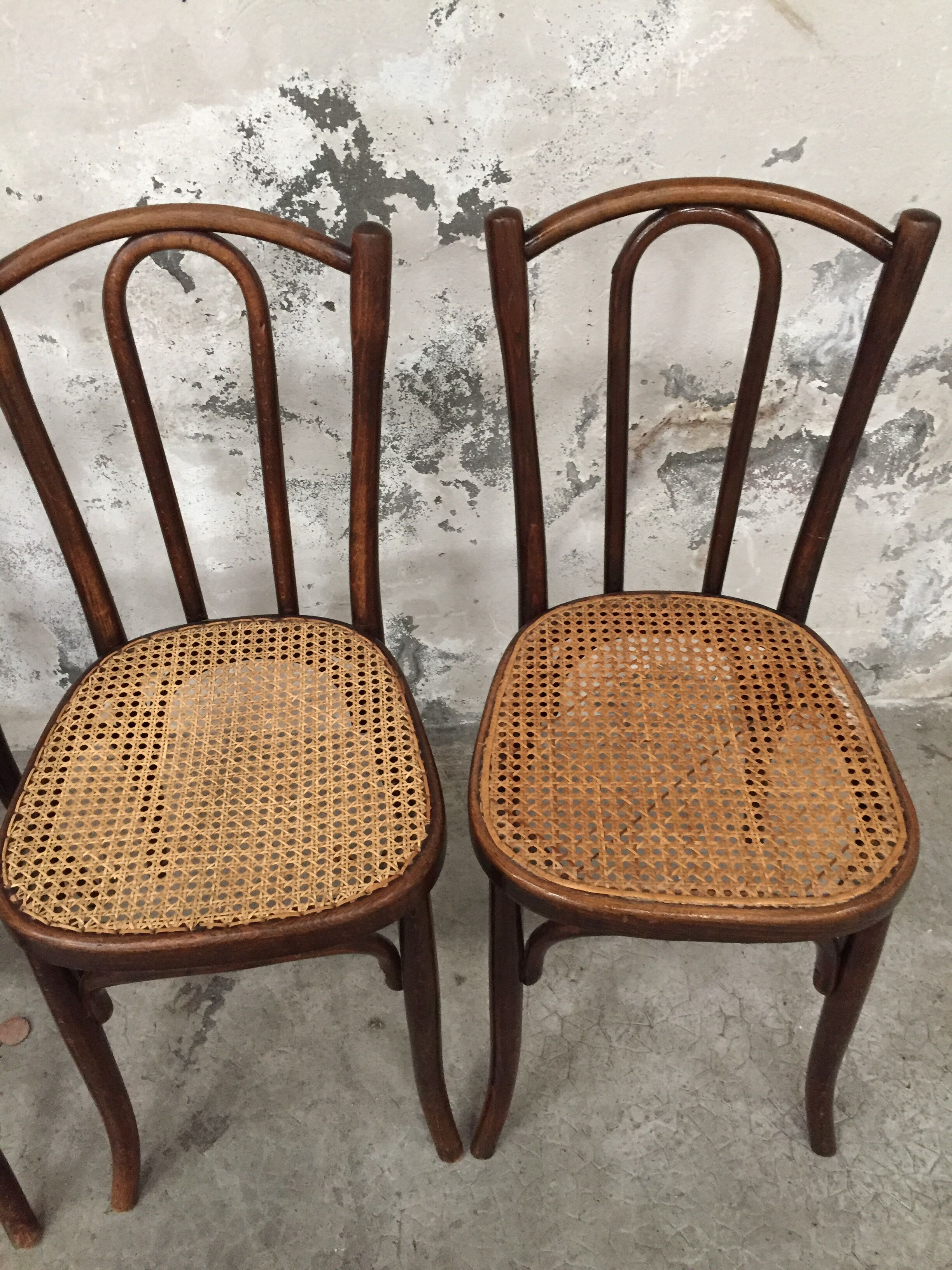 Series 4 chairs Bistro wood curved Fischel