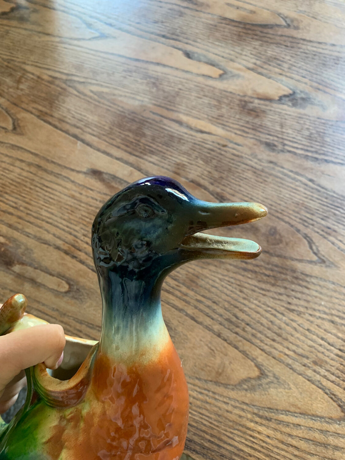 Pitcher duck Saint Clement