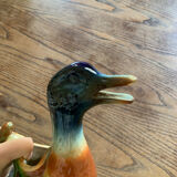 Pitcher duck Saint Clement