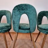 Antonin Suman dining chairs