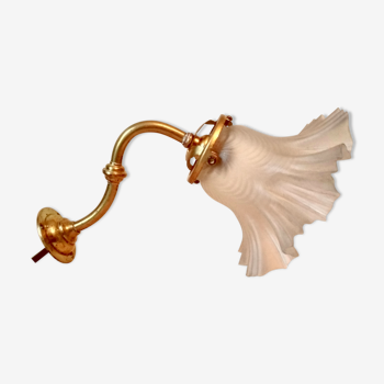 Wall light old tulip glass and brass swan neck