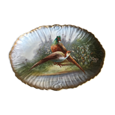 Dish XIX eme