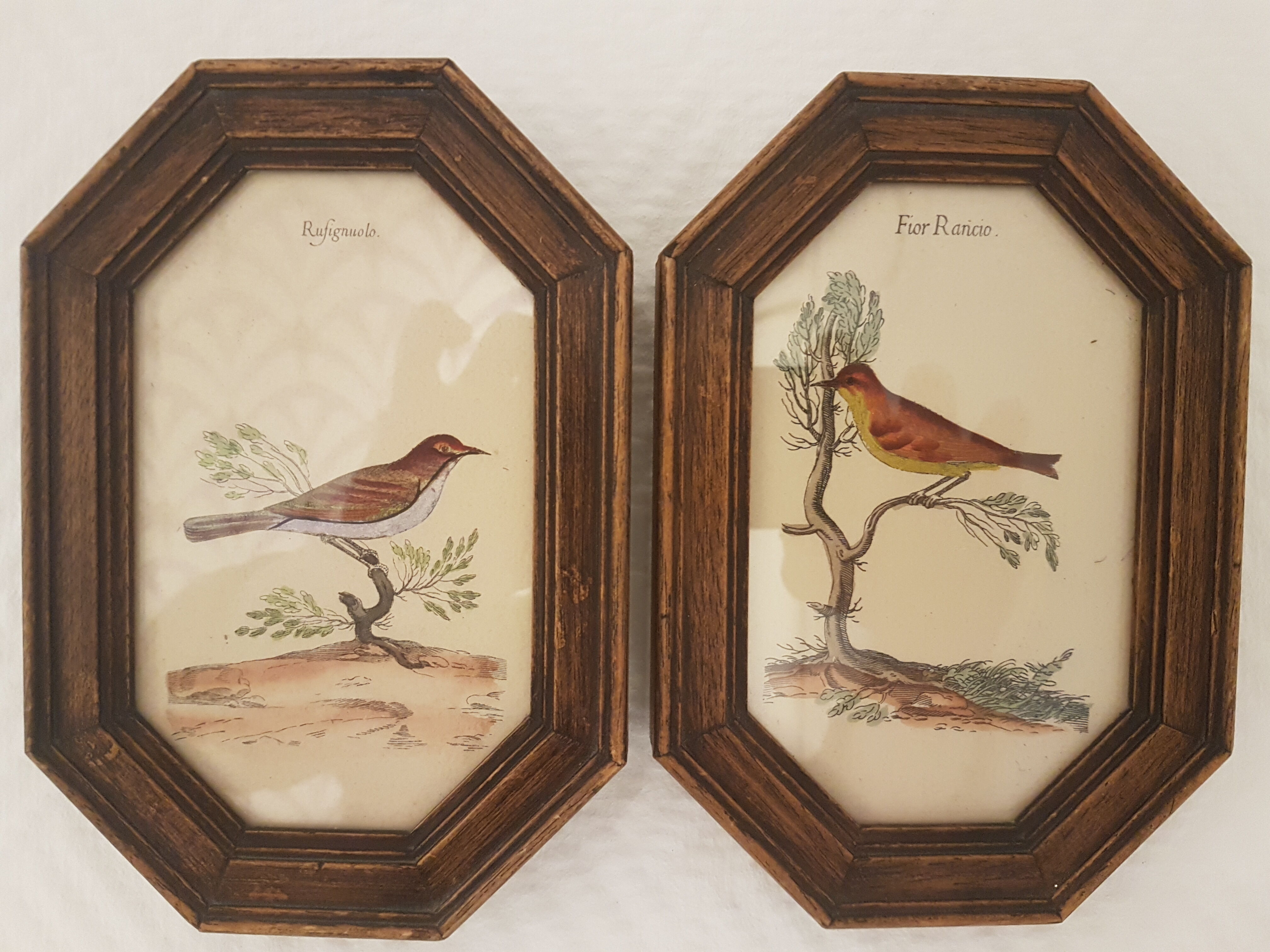 Paire de cadres ornithologie art déco